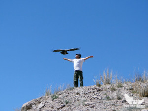 Hugo Avilar flirtet mit einem Condor...