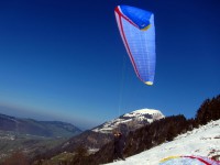 Benni startet mit seinem Sector